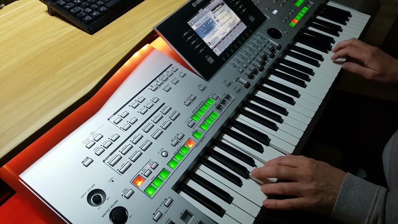 Vogel der Nacht (Stephan Remmler) - Cover auf Tyros3