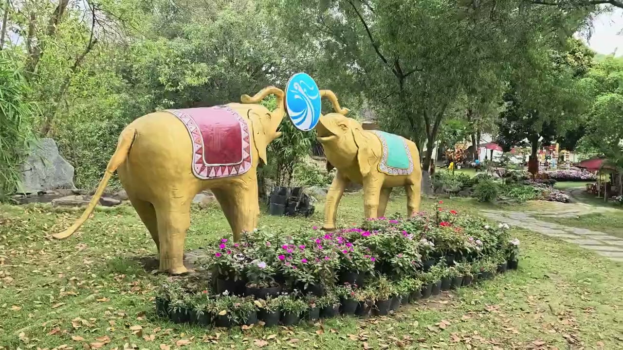 Buu Long Tourist Area (2026)