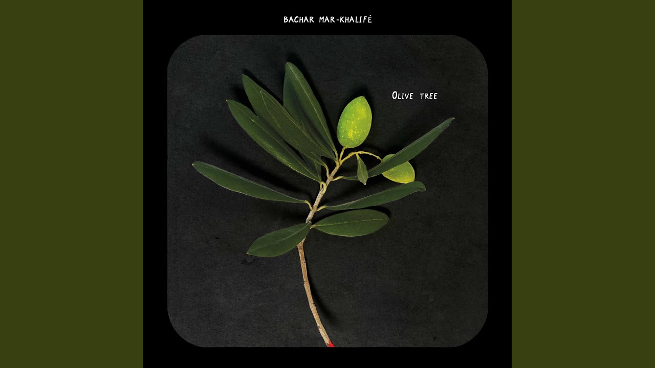 OLIVE TREE (Noise Diva Remix)