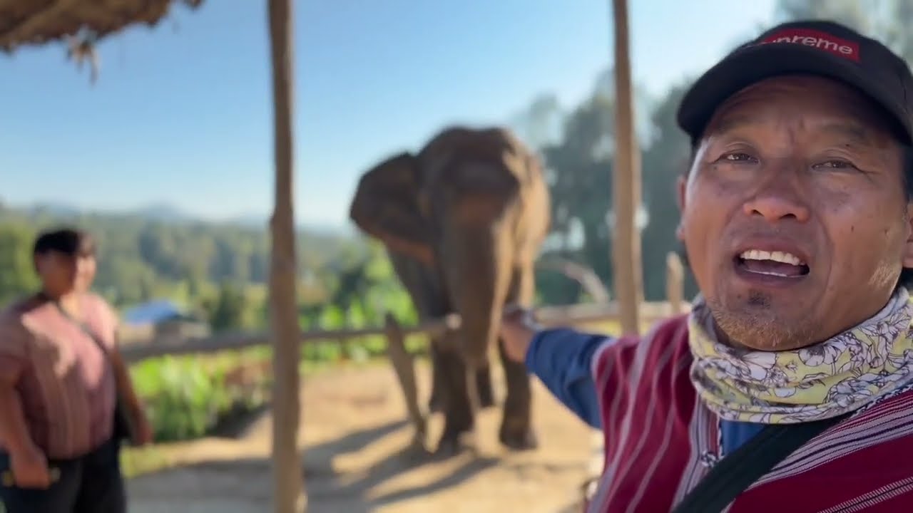 Chiang Mai - Immersion dans un sanctuaire d’éléphants