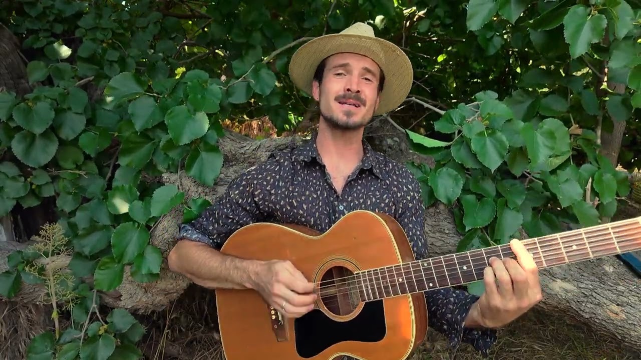 Mulberry Sessions | Orange Blossoms - GoldFord