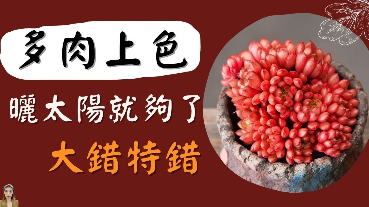 多肉植物养护|多肉植物上色2个重要因素，99%的人都搞错了，怪不得天天晒太阳也不出状态|花花世界