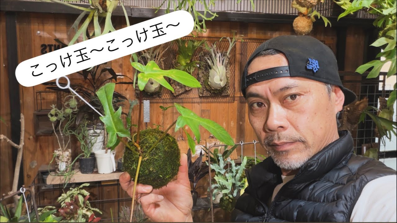 ほんわかアロイダーズ がライブ配信中！