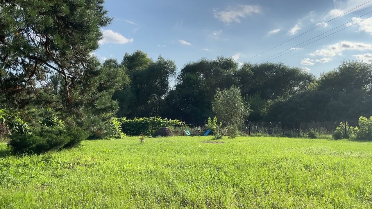 Quiet Summer Countryside Ambience | Peaceful Nature Sounds & Rural Garden
