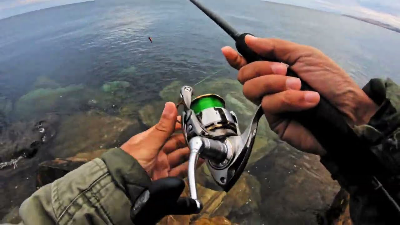 Squid Fishing Adelaide | Wirrina Cove | South Australia - [26-04-2021]