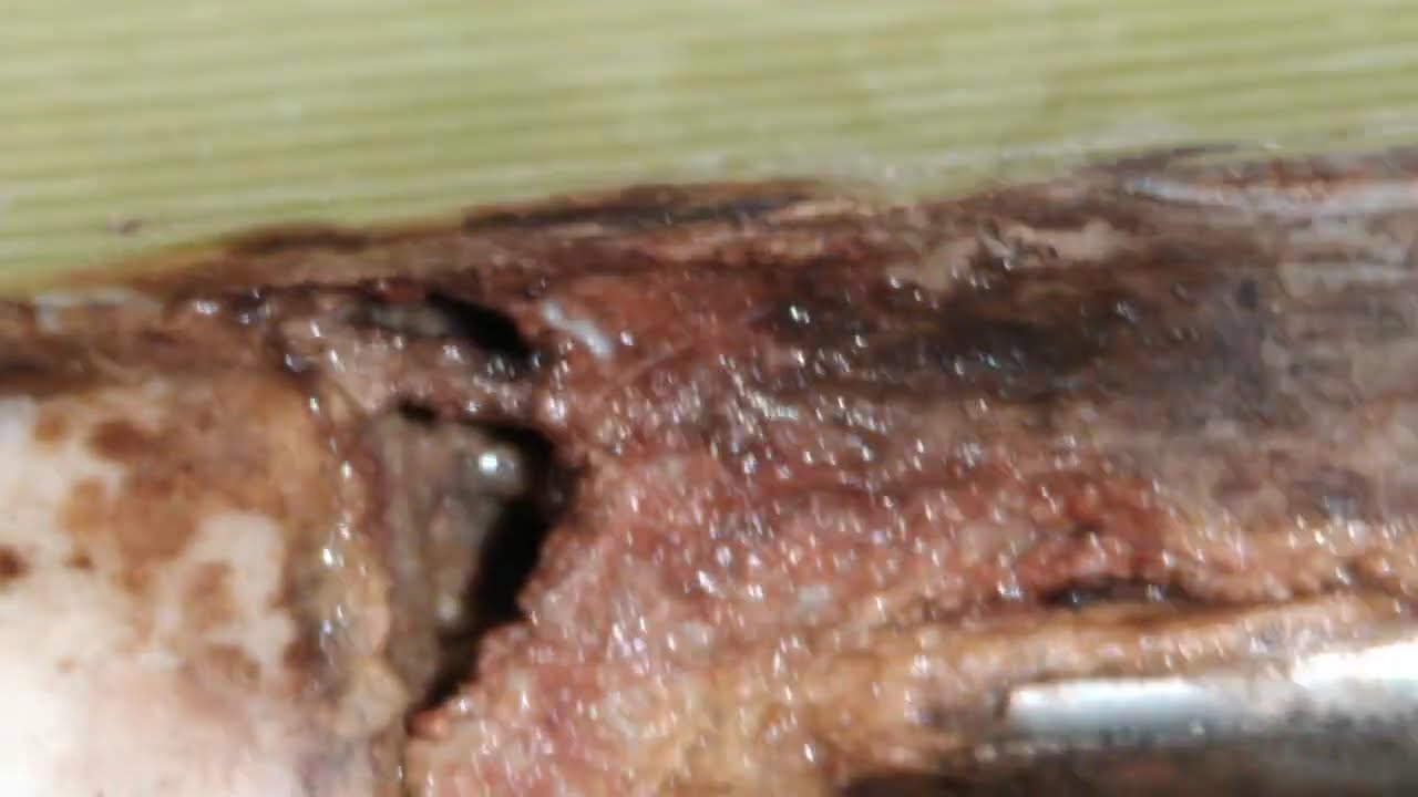 Uszkodzone silikony i spękane fugi przyczyną kapania w garażu podziemnym