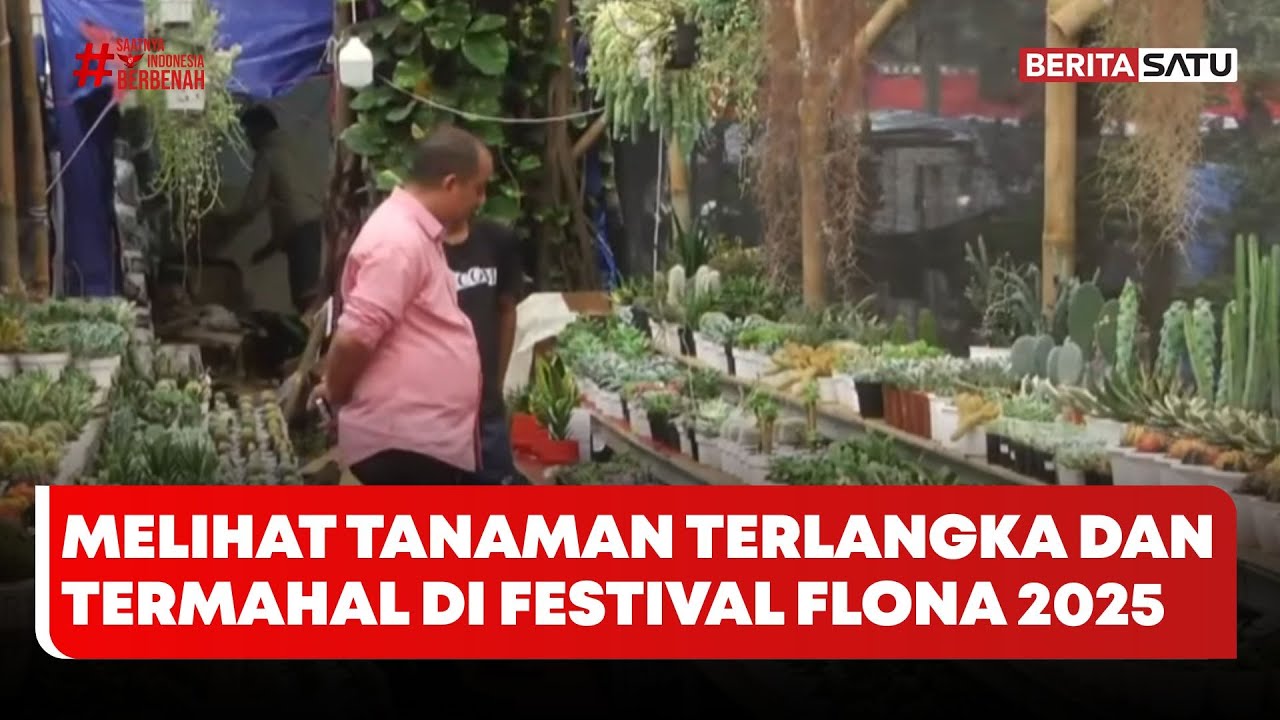 Melihat Tanaman Terlangka dan Termahal di Festival Flona 2025 #Beritasatu