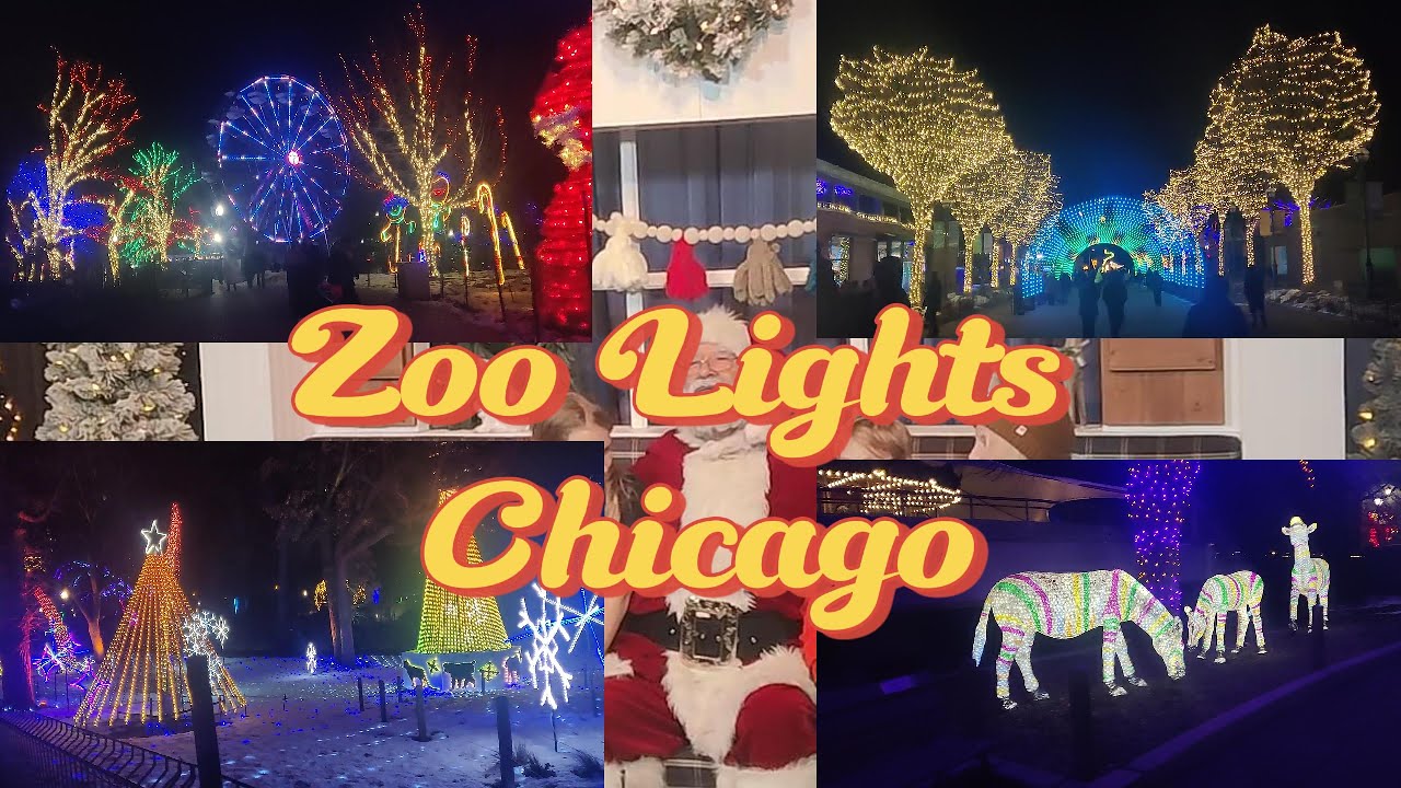 ZooLights Chicago | Lincoln Park Zoo Holiday Lights #christmas #chicago #light #zoo #viral #festival