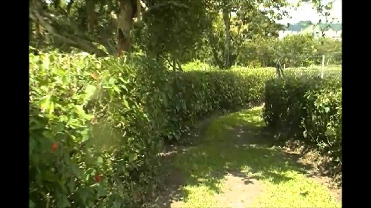 UN RECORRIDO HISTORICO POR NUESTRO COLEGIO EL INSTITUTO AGROPECUARIO VERACRUZ