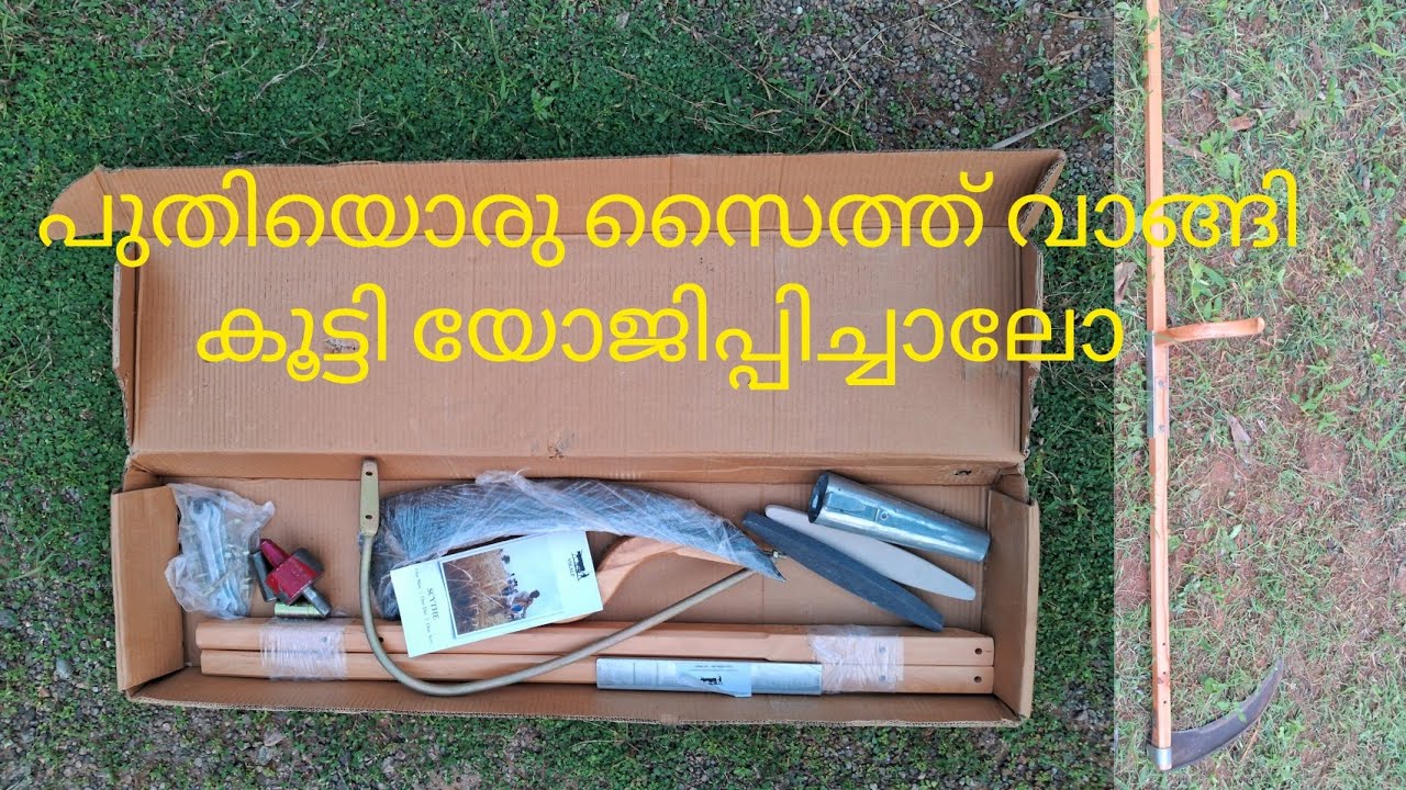 വികാൽപ്പ് സൈത്ത് റെഡി ആക്കിയലോ