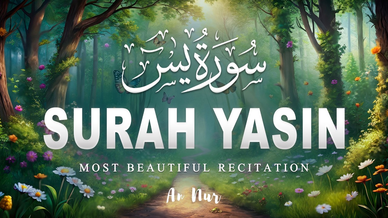 Surah Yaseen سورة يس | Relaxing & Beautiful Recitation for Inner Peace by Alaa Aqel | 