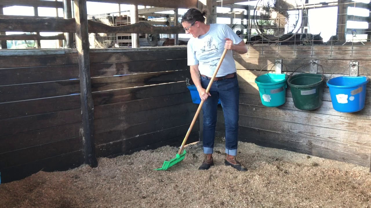 Cleaning Stalls 101