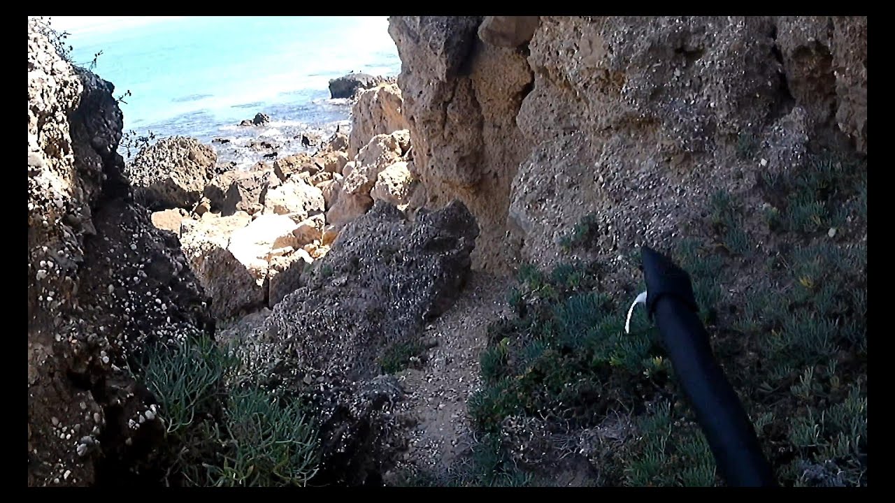 Doble jornada de pesca en un entorno de lujo. Bolonia a SPINNING
