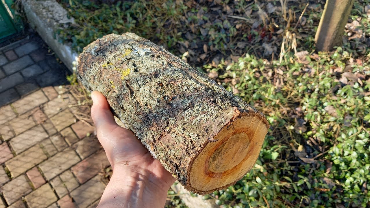 А Whiskey Barrel from an Apricot Log DIY | How to Make a Wooden Barrel with your own hands