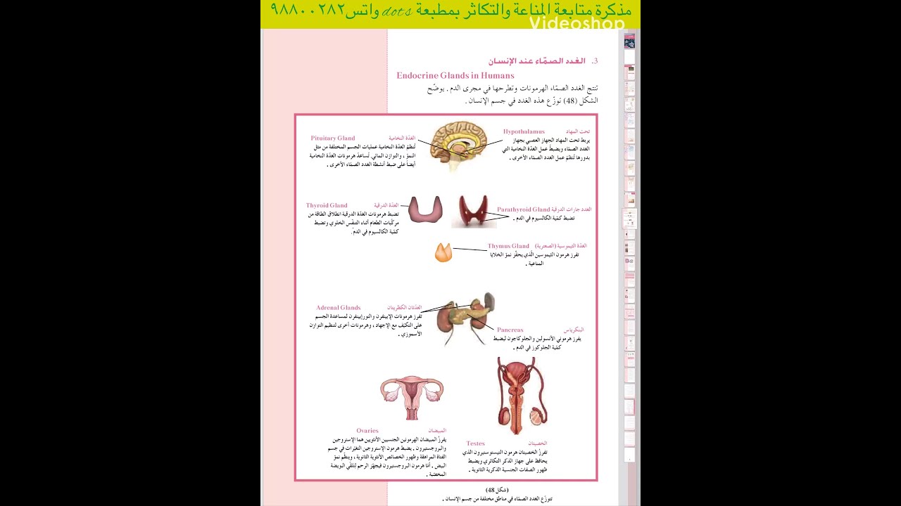 الهرمونات لدى الانسان - الدرس الرابع