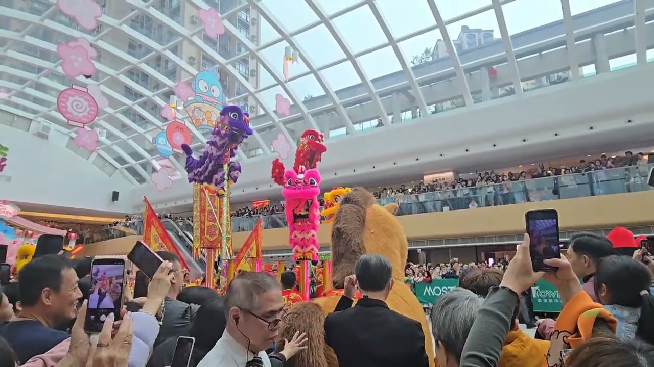Dragon & Lion Dance Performance | Celebrating Chinese New Year 2026