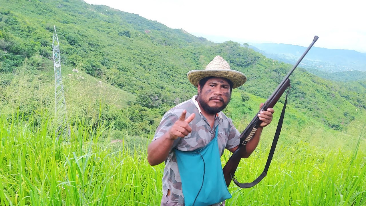 🌽🐗esto no es show cazo animales que se comen los elotes 🌽🐗🤠👍