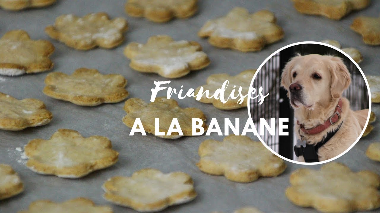 Tuto - Biscuits pour chien &agrave; la banane