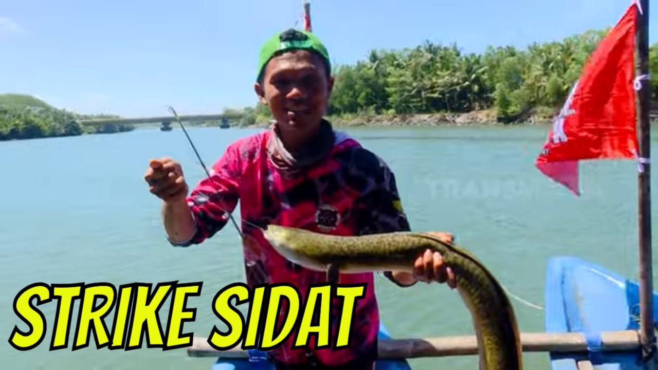 Berburu Strike Ikan Sidat di Muara Sungai Pantai Suwuk | MANCING MANIA STRIKE BACK (03/09/23) Part 1