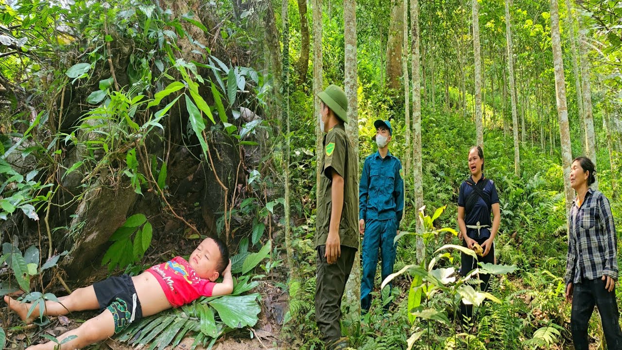 Single mother : Efforts to find the lost child in the forest, local authorities help