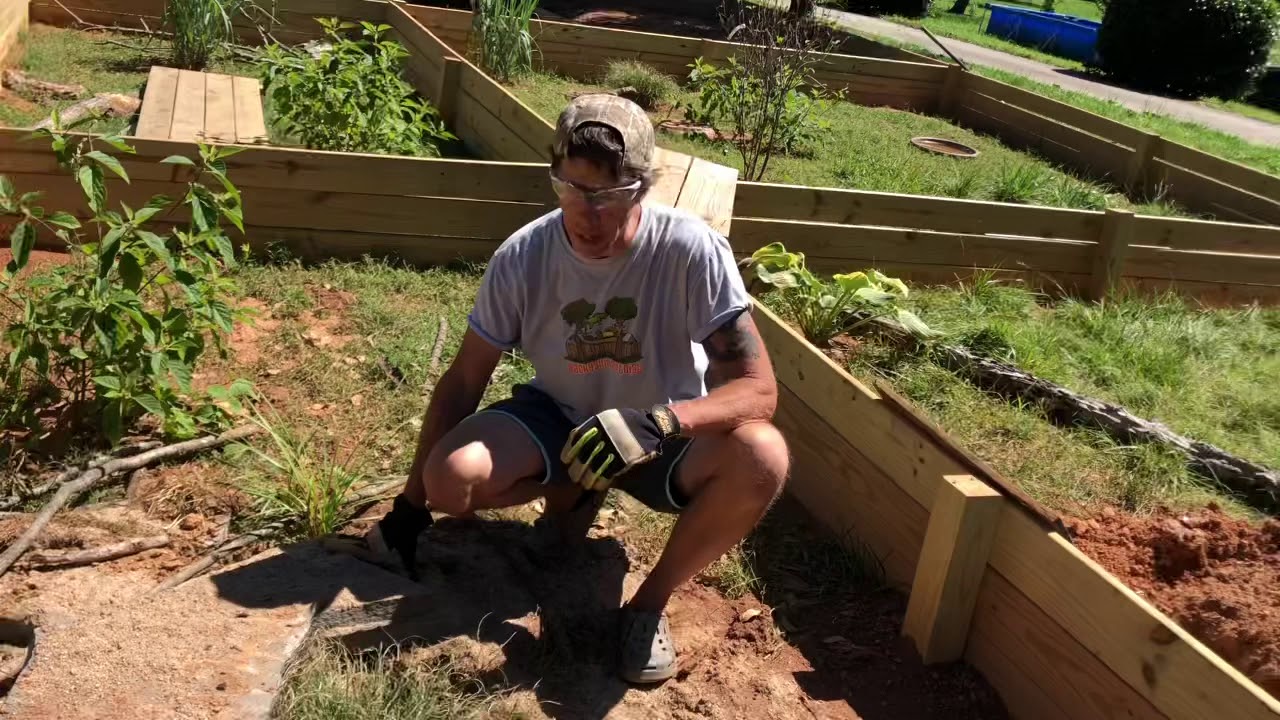 How to set up Spekki Hingeback tortoises in an outdoor enclosure