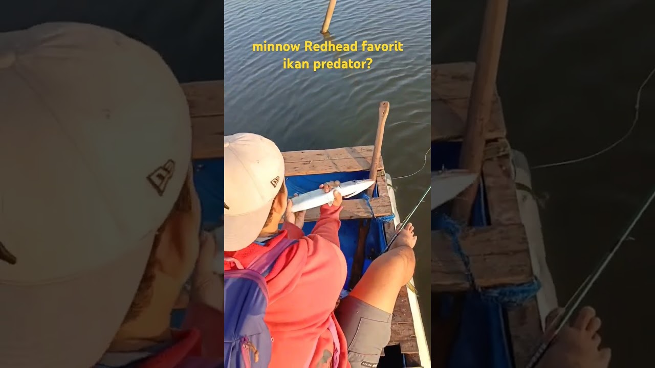 muara POJ city#angler #mancingcasting #fyp