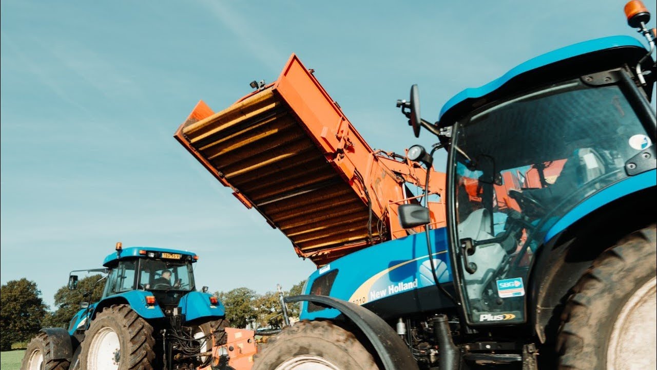 Zetmeelaardappelen rooien en bewaren voor Avebe