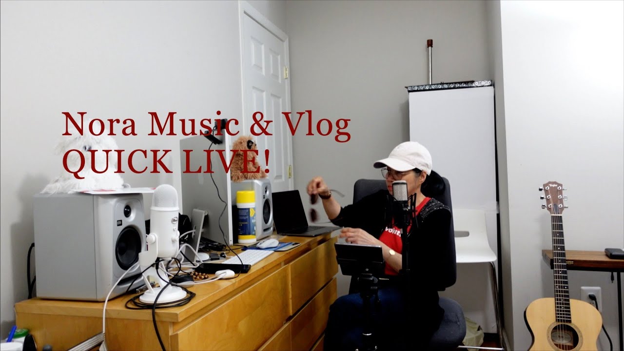 Nora Music & Vlog LIVE
