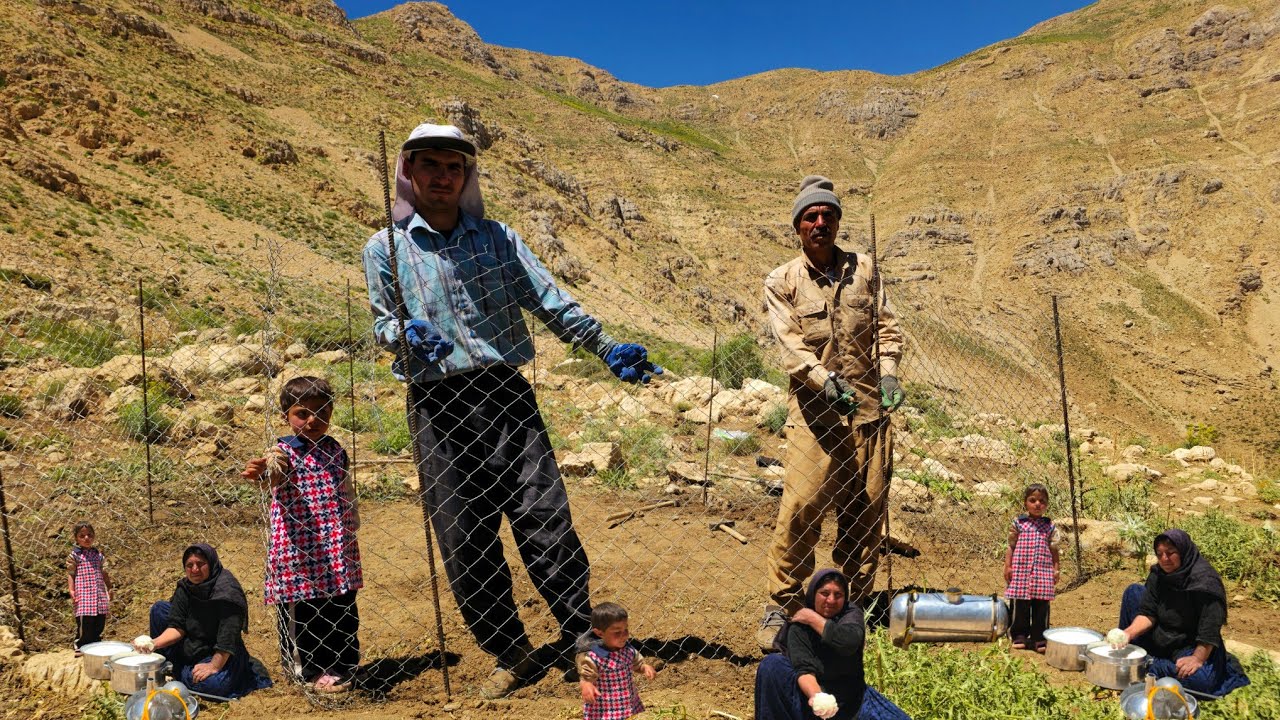 Nomadic Life: The Kuhgol Family&rsquo;s Nomadic Garden 🌿 | Nomadic Family Farming in the Mountains 🏔️