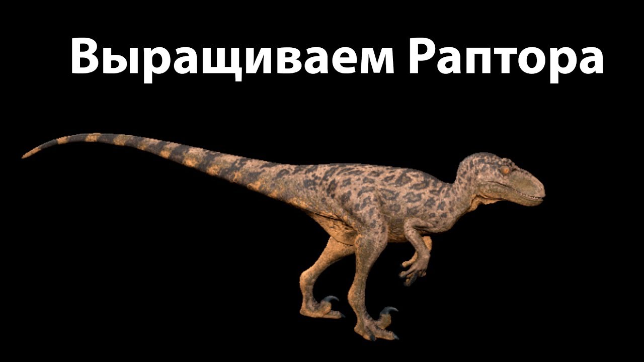 Выращиваем Раптора ( The Isle )