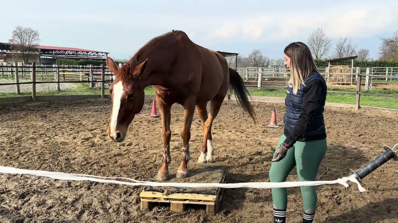 Giorgia & Vesper Level 3 Liberty Audition 