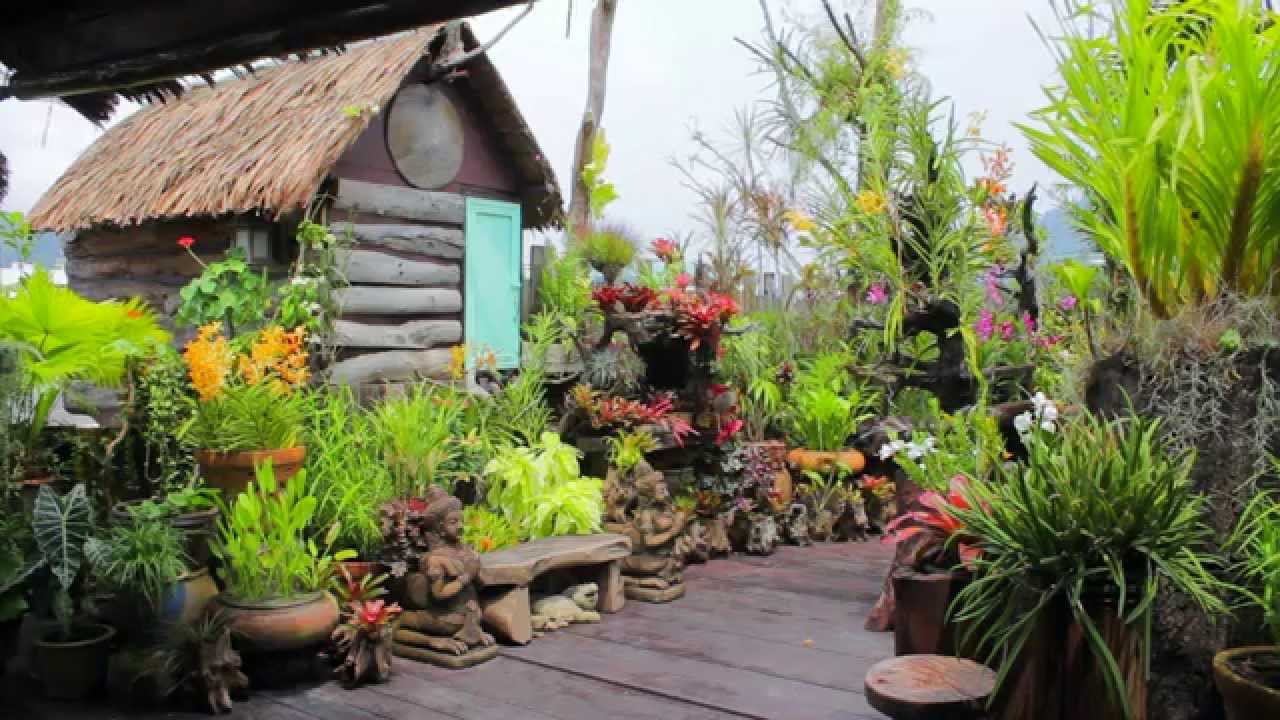 Natural Restaurant