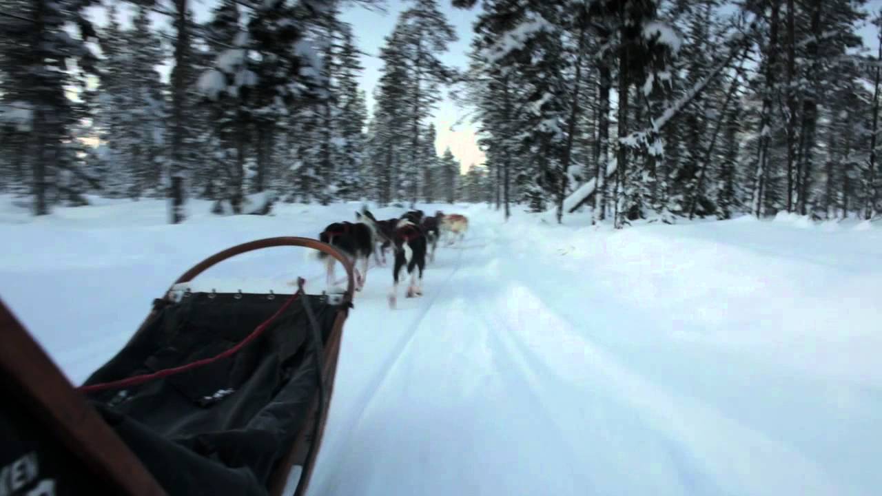 Fjällräven Polar: The Musher and his Dogs