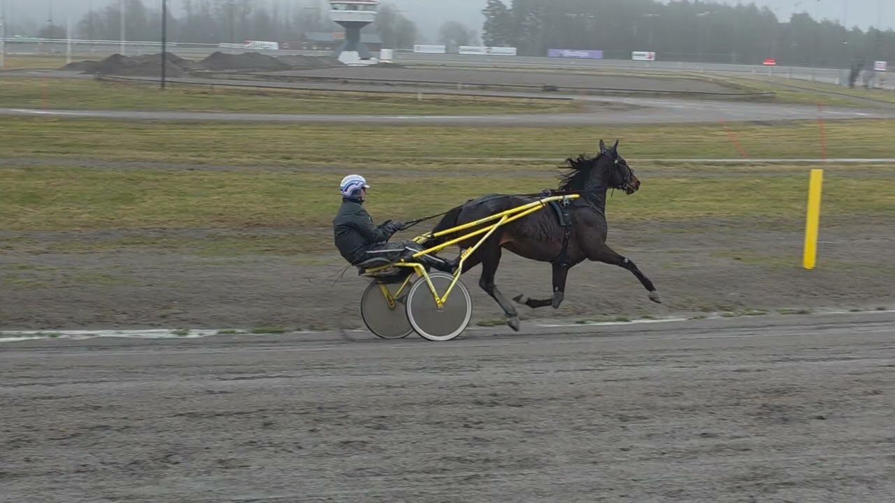 Hiawata på Jarlsberg 2026-03-17