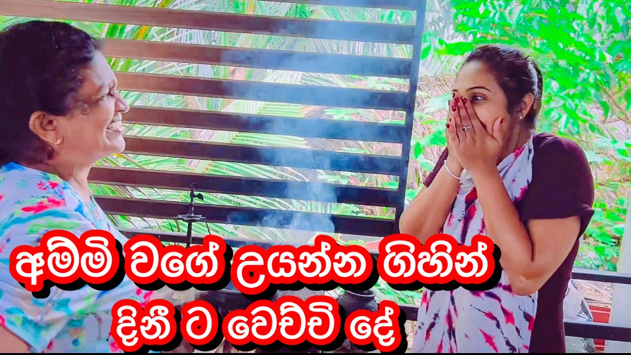 අම්මි වගේ උයන්න ගිහින් දිනීට උන දේ|How to make PolSambal-Sangeeth Dini Vlogs|Sangeeth Satharasinghe