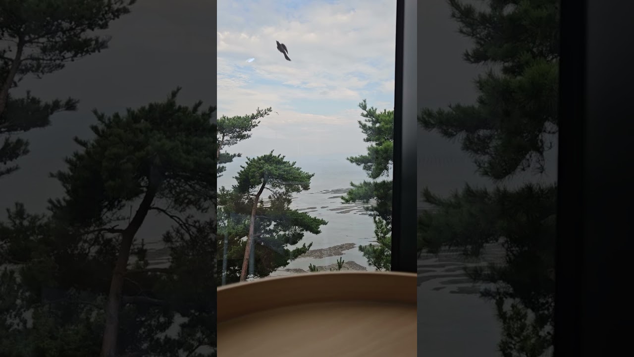 쉼~어디까지 차 오를까??~~♡