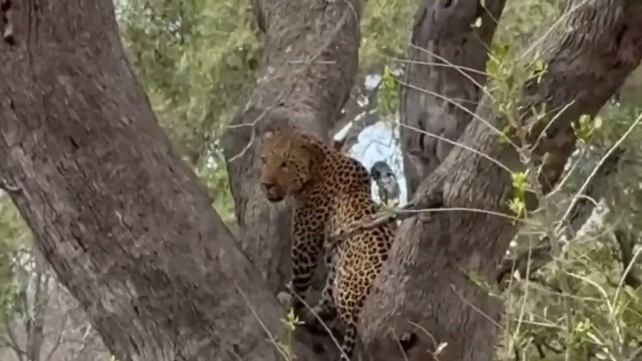 Early starts, good sightings, quiet pauses, and time spent exactly where you’re meant to be