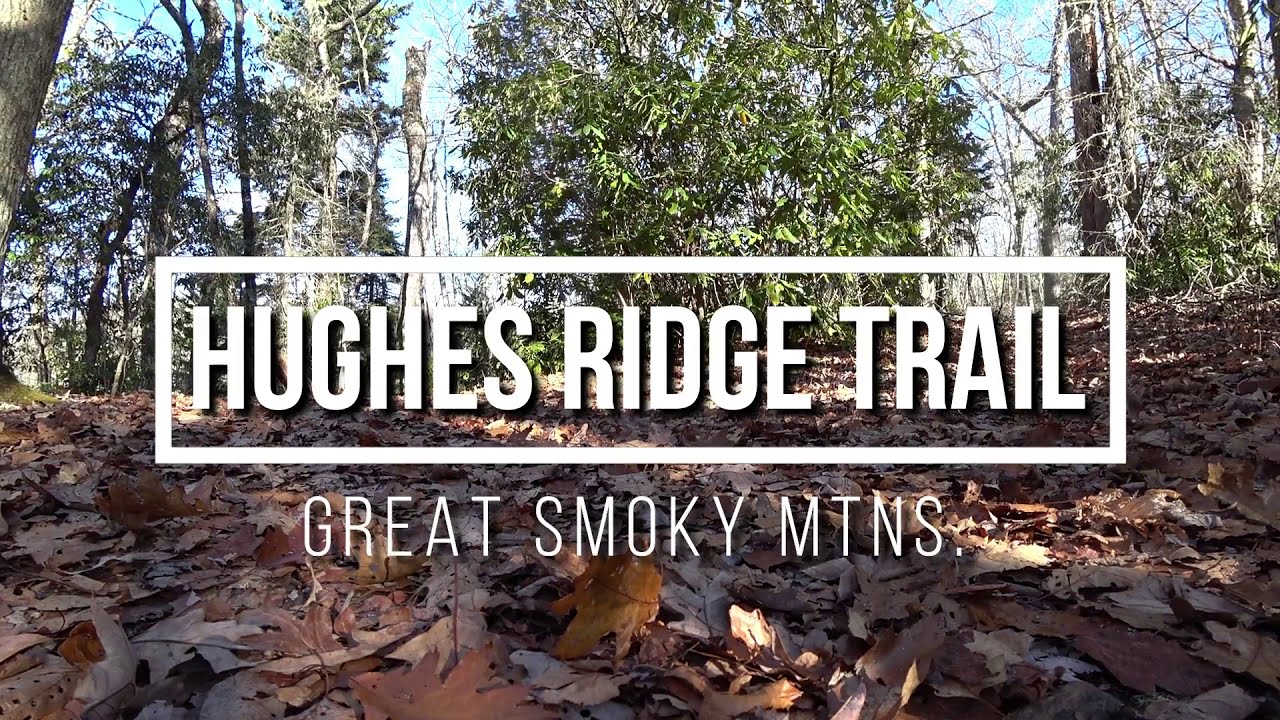 Hughes Ridge Trail Great Smoky Mountains