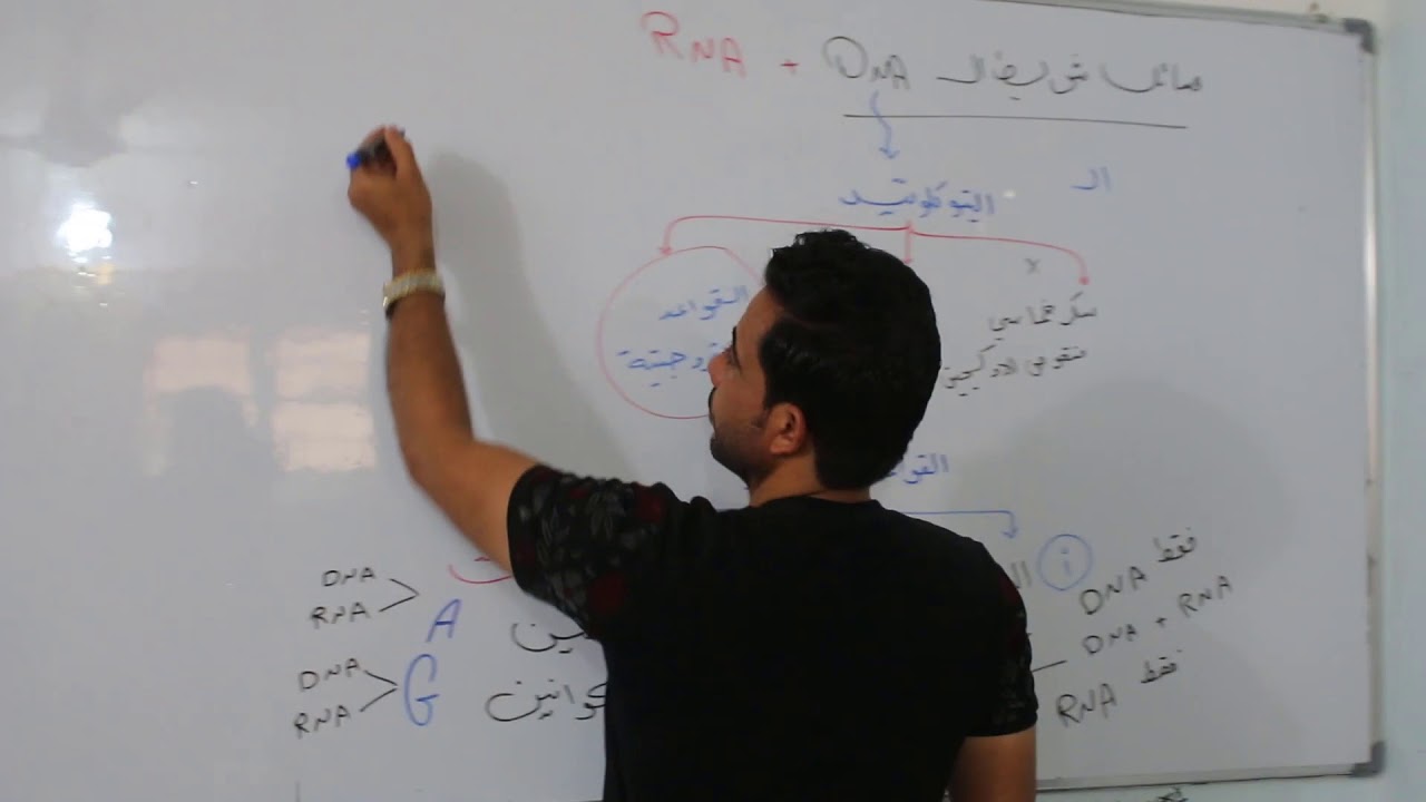 احياء الصف السادس العلمي / الوراثه / المحاضره  ٢٤ / مسائل ال DNA