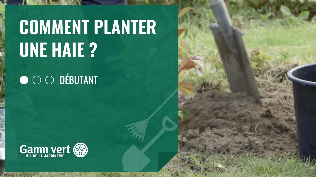 [TUTO] Comment planter une haie ? – Jardinerie Gamm vert