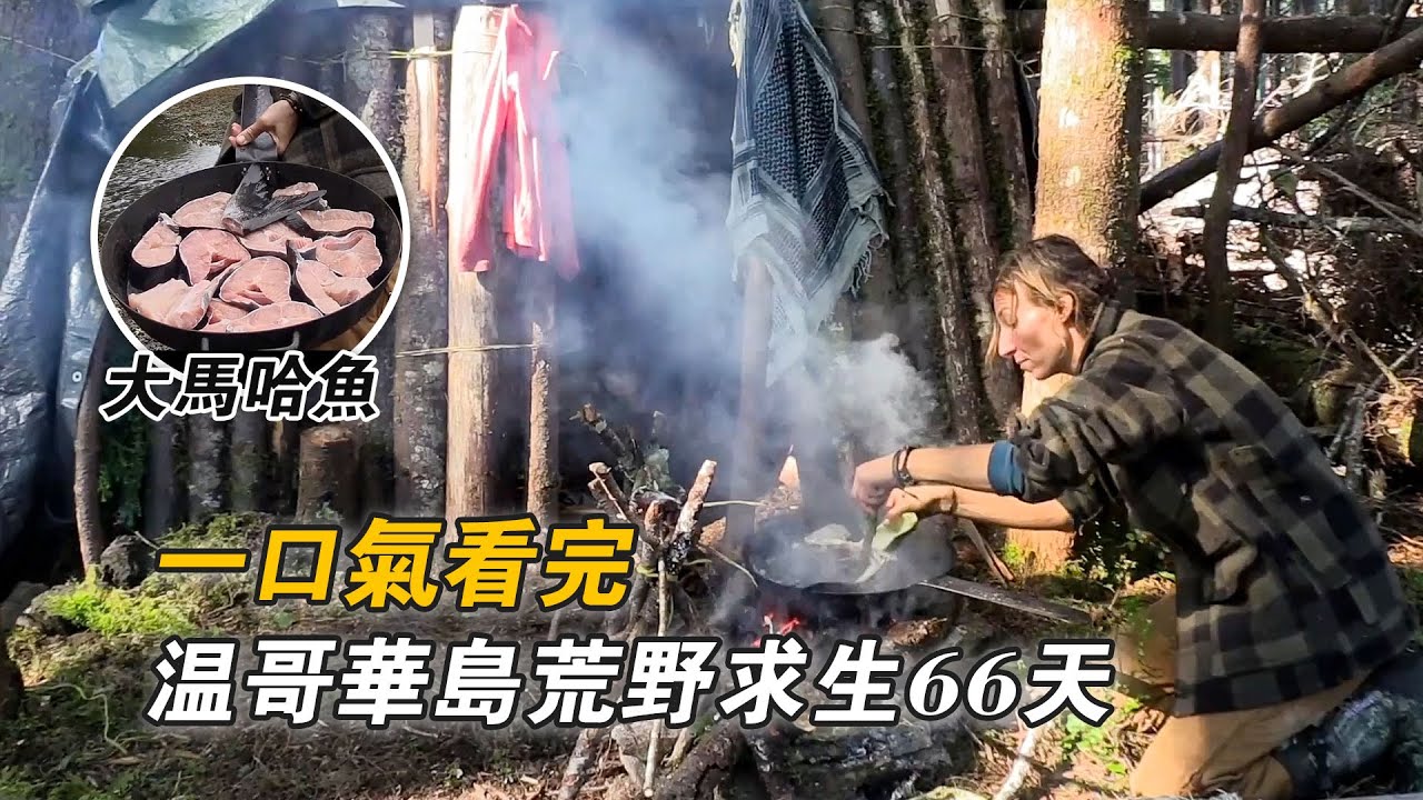一口氣看完溫哥華島荒野求生66天，連抓6隻珍寶蟹實現海鮮自助，捕獲10斤大馬哈魚，趕海採集海藻海帶補充膳食纖維，挨餓66天贏下50萬美元！紀錄片