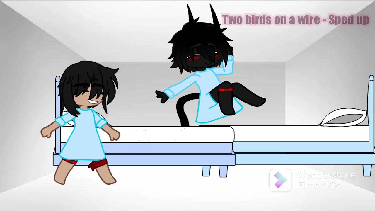 How did Skephalo met… | Happy duo Experiment!AU