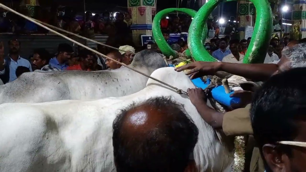 Bannari amman Pushpa ratham 23/03/2022