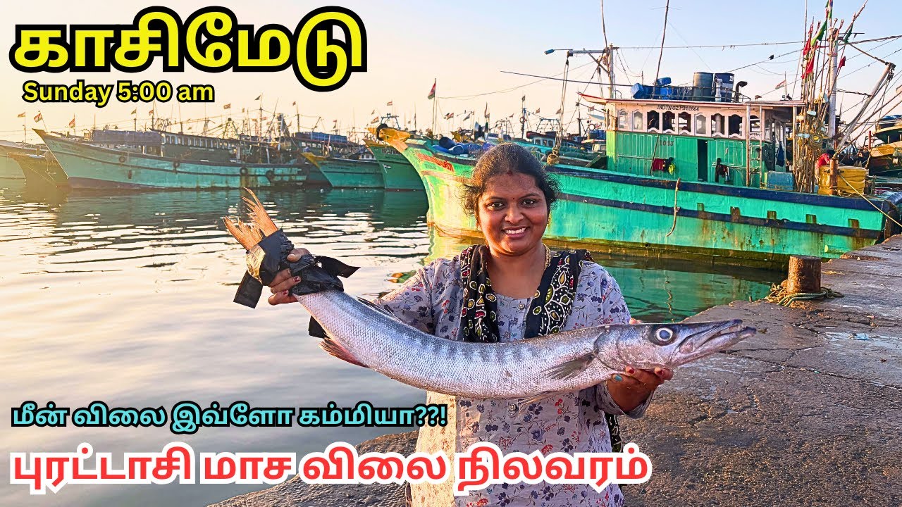 Chennai Kasimedu fish market💥 மீன் ஏலம் (kasimedu) fish market price  #kasimedu #fish