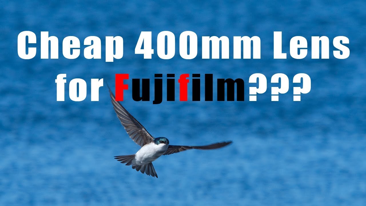 Cheap 400mm lens for Fujifilm? - Sigma 400 review + Sample Photos