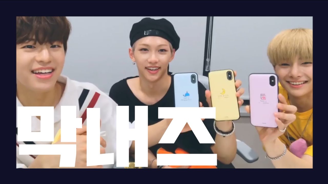 [스트레이키즈 / Stray Kids] 막내즈는 언제나 옳다🐶🐱🦊