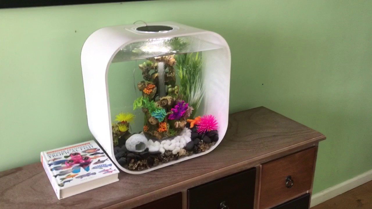 Biorb Life 30 Litre Setup