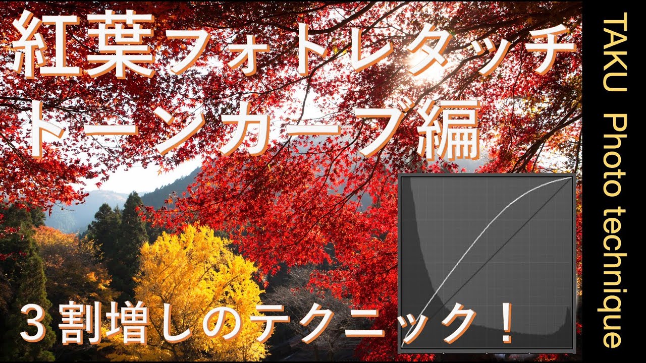 紅葉写真レタッチ：トーンカーブの使い方