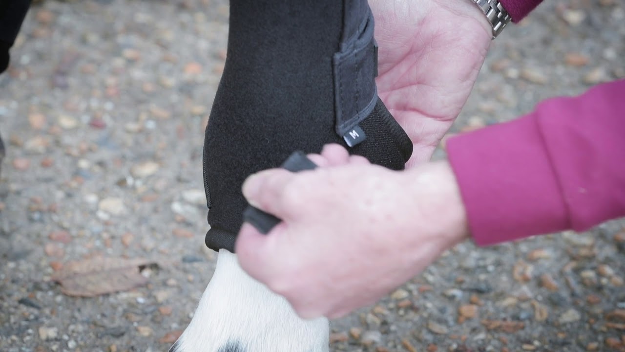 LeMieux Ultra Support Boots at Centerline