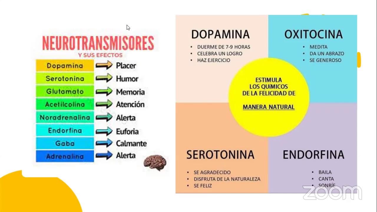PsicoNutrición